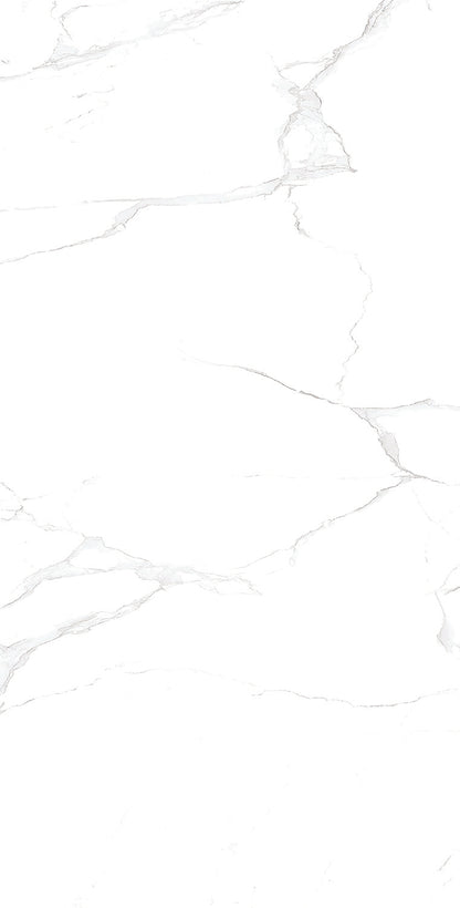 Renoz 24 X 48 Glossy Alaska White Tile