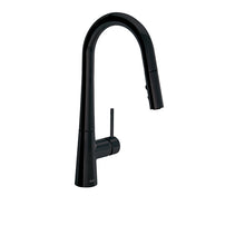 ALT Aqua Bettola Single-control Pull-down Kitchen Faucet 40875