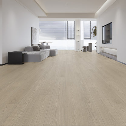 Power Dekor Basik4 collection Laminate Flooring (48" X 6.75" X 12 mm)