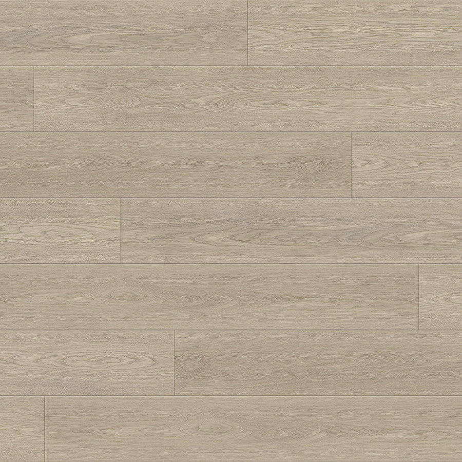 Power Dekor Basik4 collection Laminate Flooring (48" X 6.75" X 12 mm)