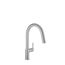 Baril Single Hole Kitchen Faucet With 2 Jet Pull-out Spray