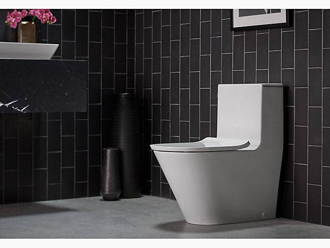 Kohler - Brazn One-Piece Compact Elongated Dual Flush Toilet With Skirted Trapway - Renoz