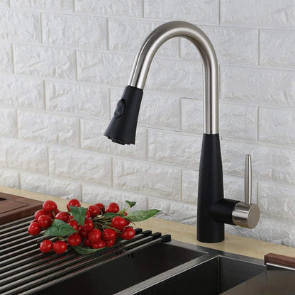 Kodaen Davison Pull-Down Dual Spray Kitchen Faucet F23113