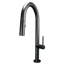 Kodaen Elegante Pull-Down Dual Spray Kitchen Faucet F23304