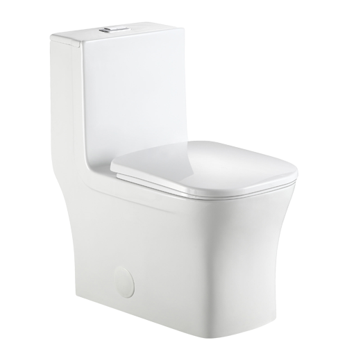 Aktuell FL One-Piece Toilet AKK0329DF