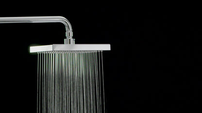 Pommeau de douche Raincan à réglage unique Delta - Chrome