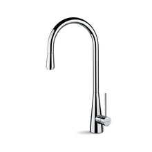 Streamline Newform Kitchen Ycon Single Lever Kitchen Faucet with Swivel Spout