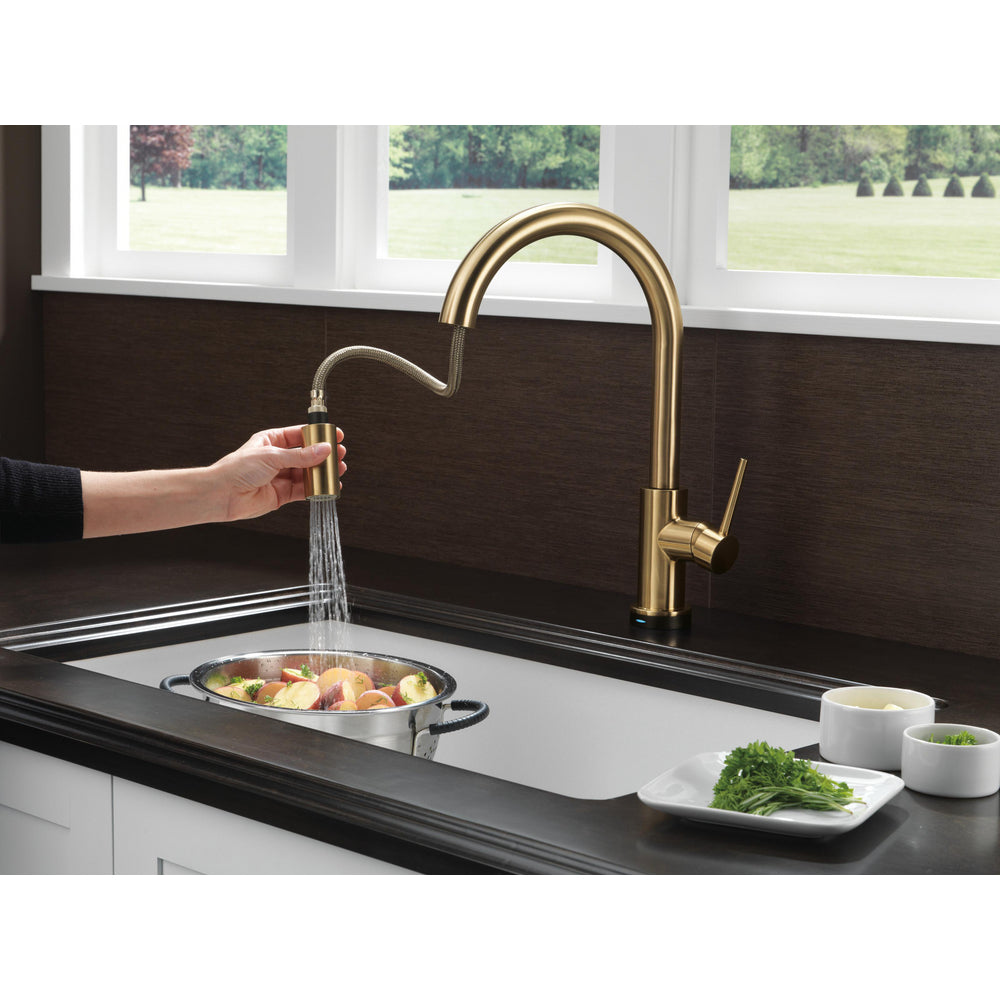 Delta Robinet de cuisine à tirette à poignée unique TRINSIC avec technologie Touch2O - Champagne Bronze