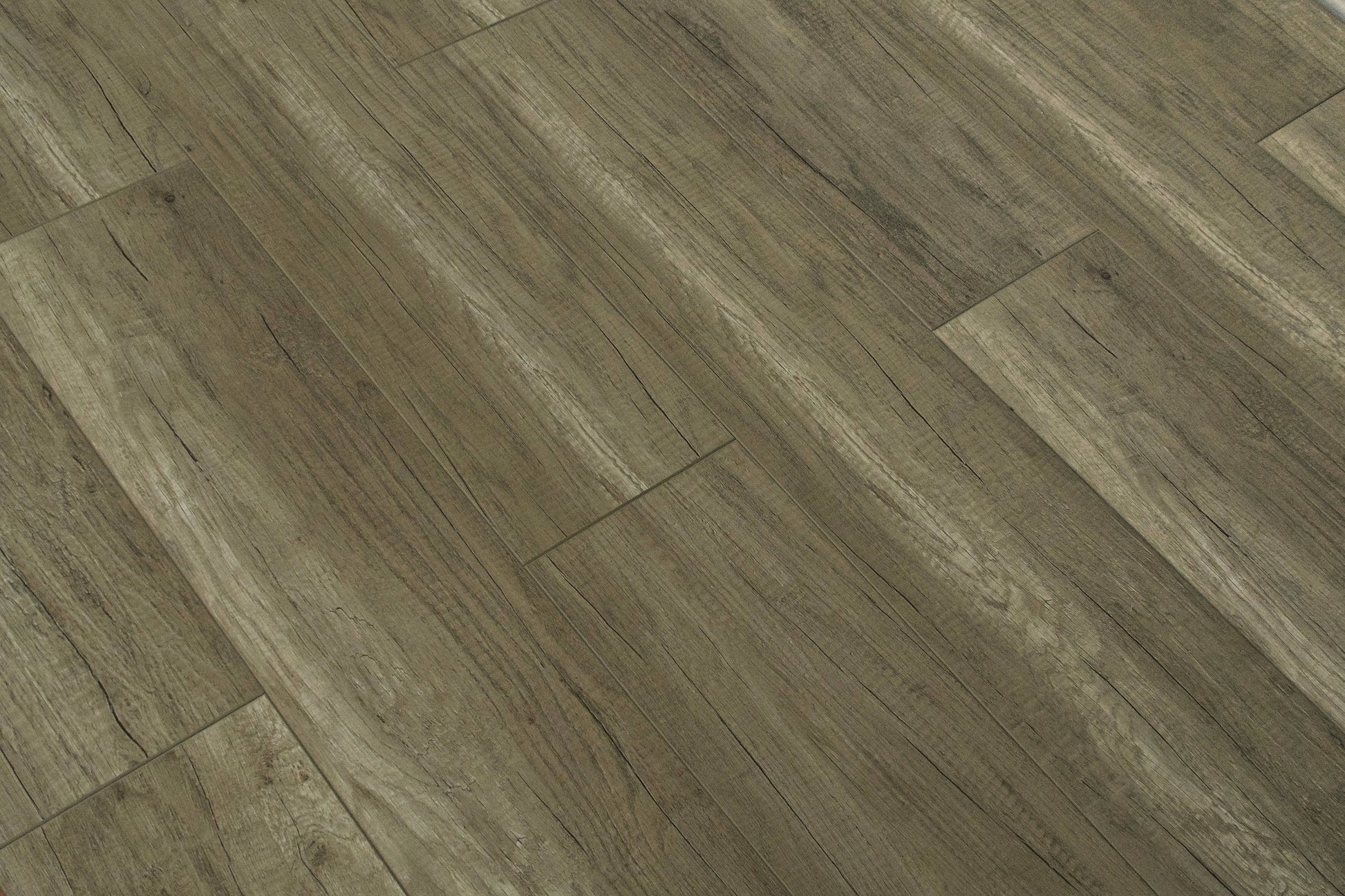 TriForest Laminate Flooring Embossed Matt-12 Series TF6208F - Renoz