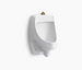 Kohler Dexter Washdown Wall-Mount 0.125 Gpf Urinal With Top Spud