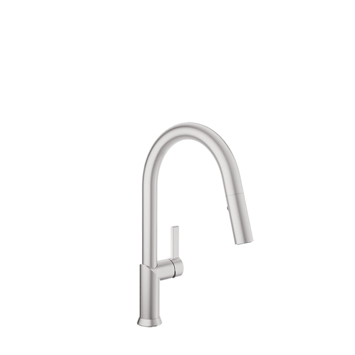 Baril Single Hole kitchen faucet with 2 Jet pull-out spray (H15)