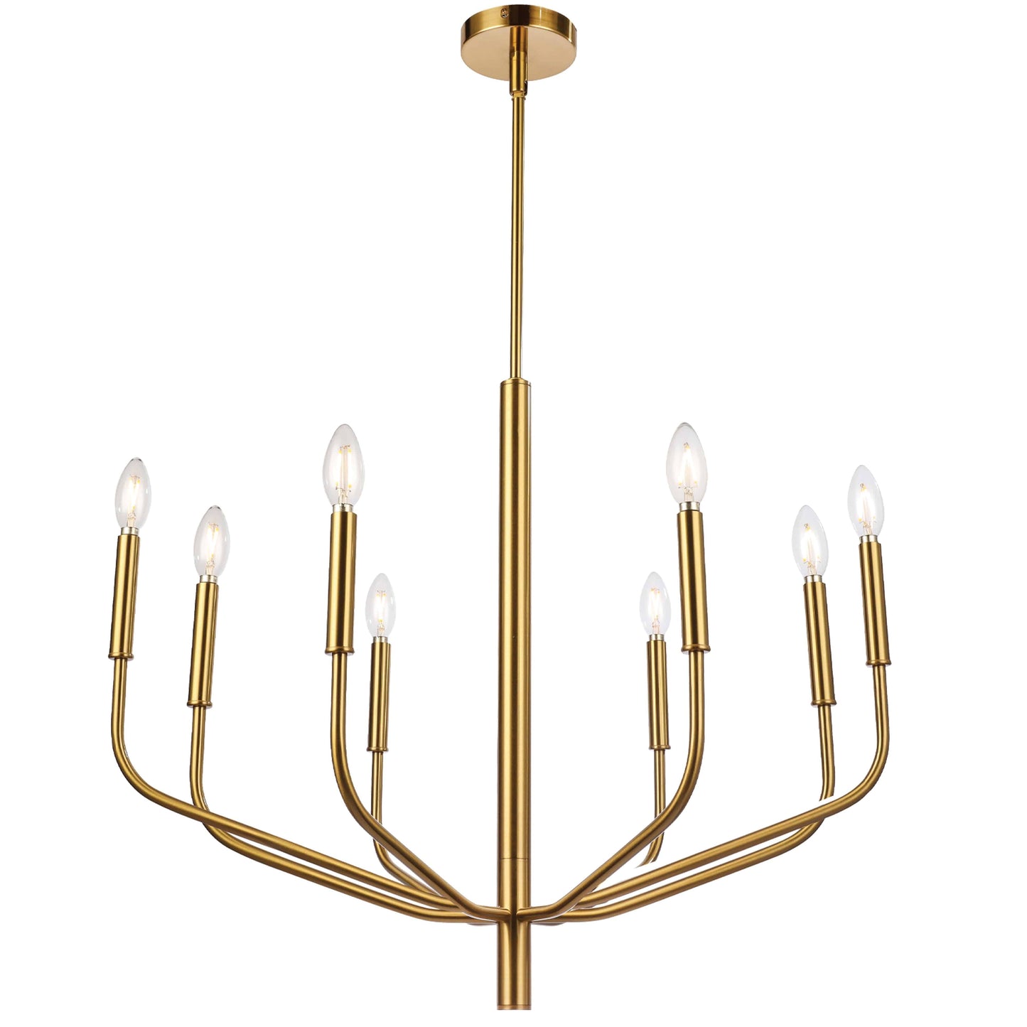 Dainolite 8 Light Incandescent Chandelier, Aged Brass - Renoz