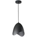 Dainolite 1 Light Pendant, Black Finish - Renoz