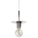 Dainolite 1 Light Incandescent Pendant, Polished Chrome 8 inch - Renoz