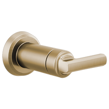 Brizo Sensori Volume Control Trim Lever(LEVOIR)