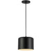 Dainolite 1 Light Incandescent Pendant, Matte Black Shade - Renoz