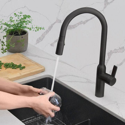 Stylish Napoli 18.75" Kitchen Faucet Single Handle Pull Down Dual Mode Stainless Steel Matte Black Finish K-133N - Renoz