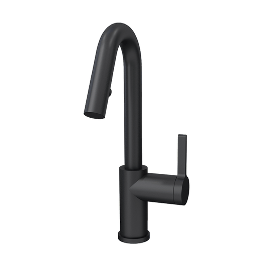 Rubi Endricks - Single Lever Kitchen Faucet-Black - Renoz